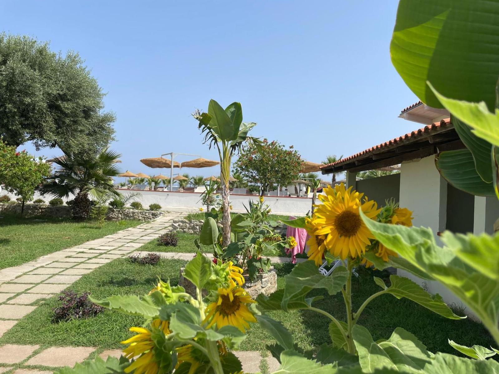 Hotel Borgo Marino Albatros Zambrone Esterno foto